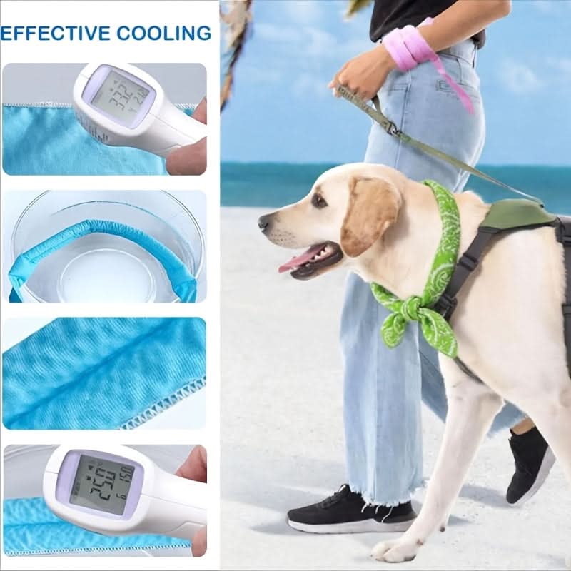 ChillPaws – Reusable Cooling Bandanas for Pets