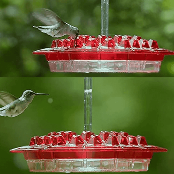 Ultimate Ant-Resistant Hummingbird Feeder with Perch