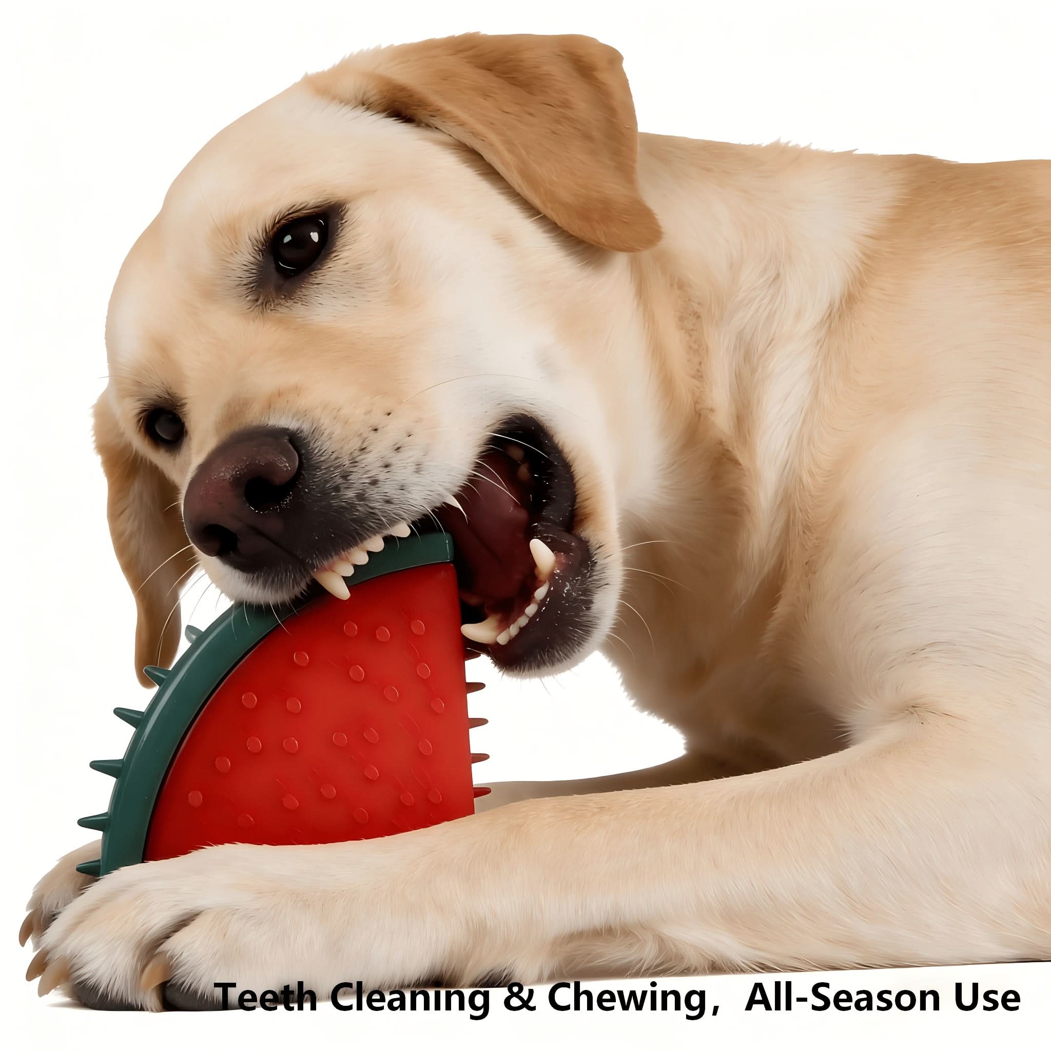 ChillQuest – Interactive Frozen Puzzle Toys for Dogs
