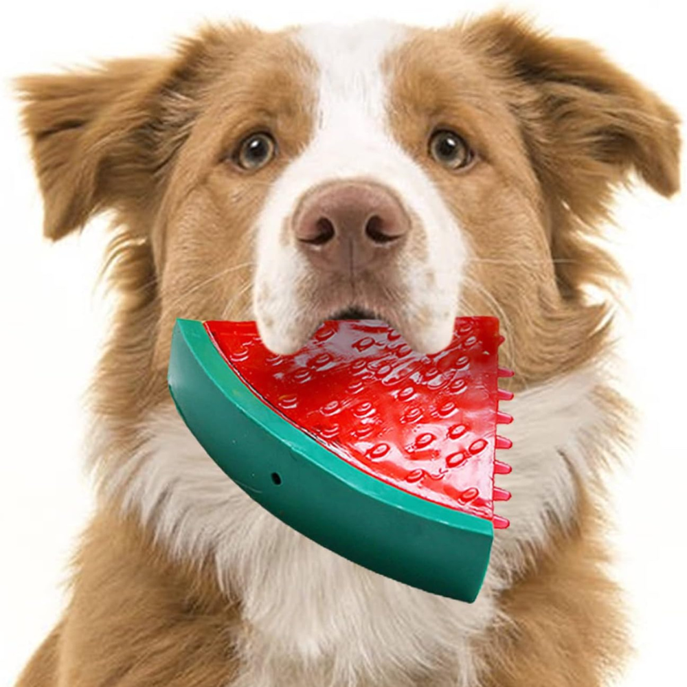 Chill & Play Summer Pet Teething Toy for Dogs