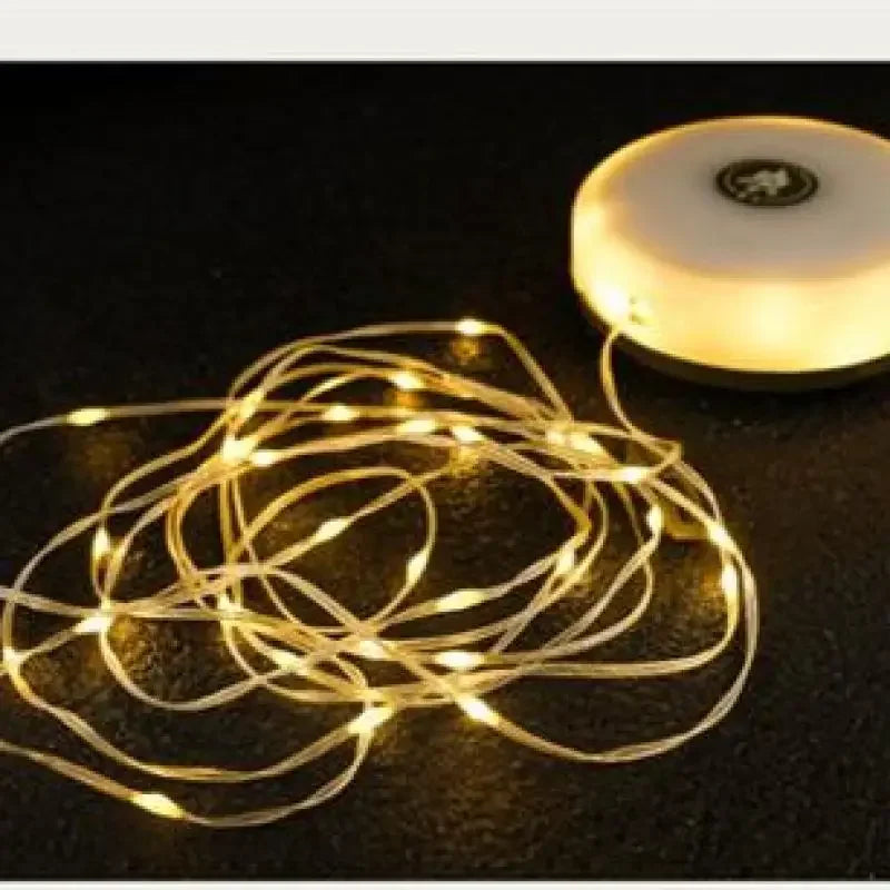 33 ft String Lights with LED – Fairy Light Decoration