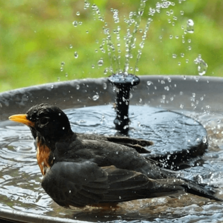 Solar-Powered Water Feature for Serene Gardens