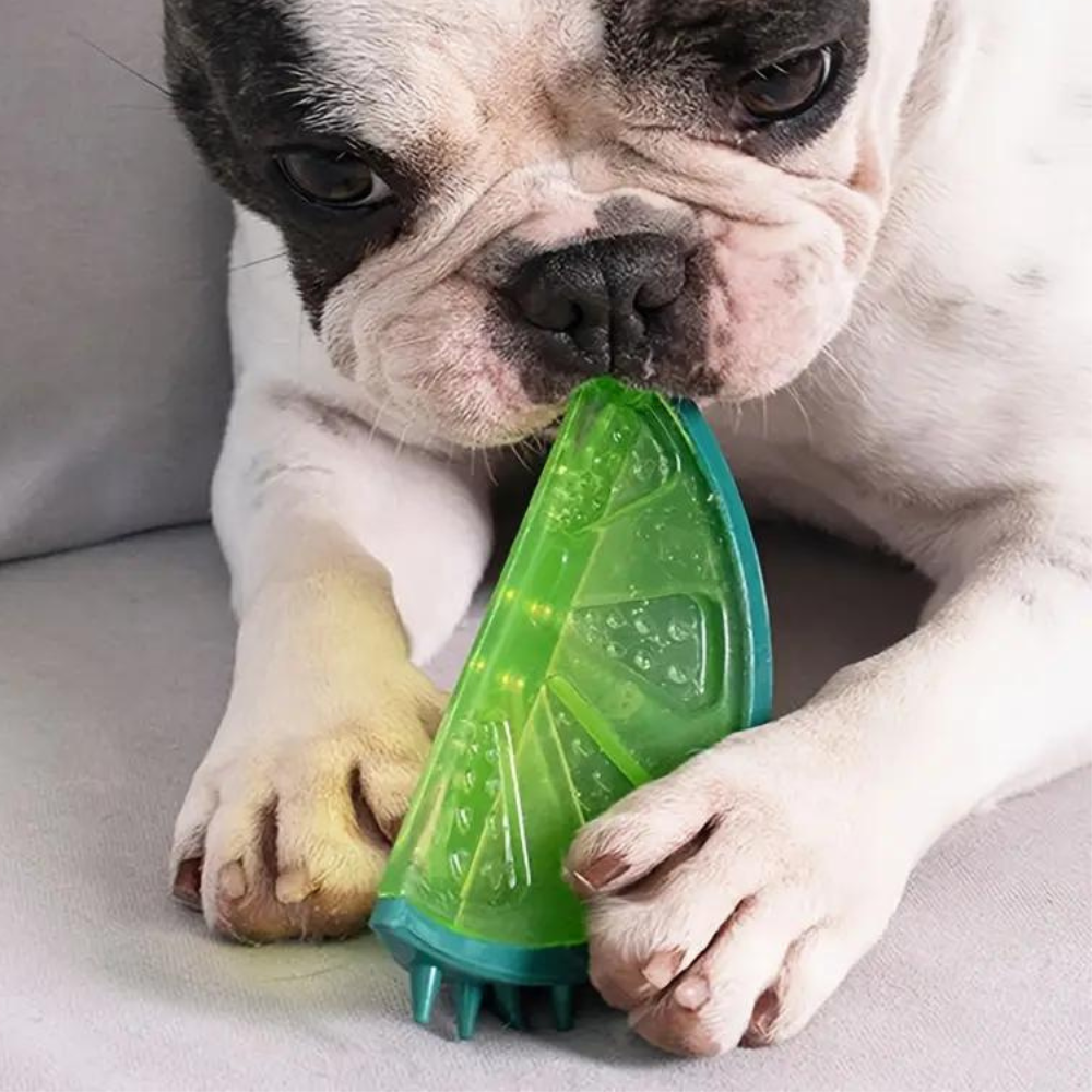 Chill & Play Summer Pet Teething Toy for Dogs