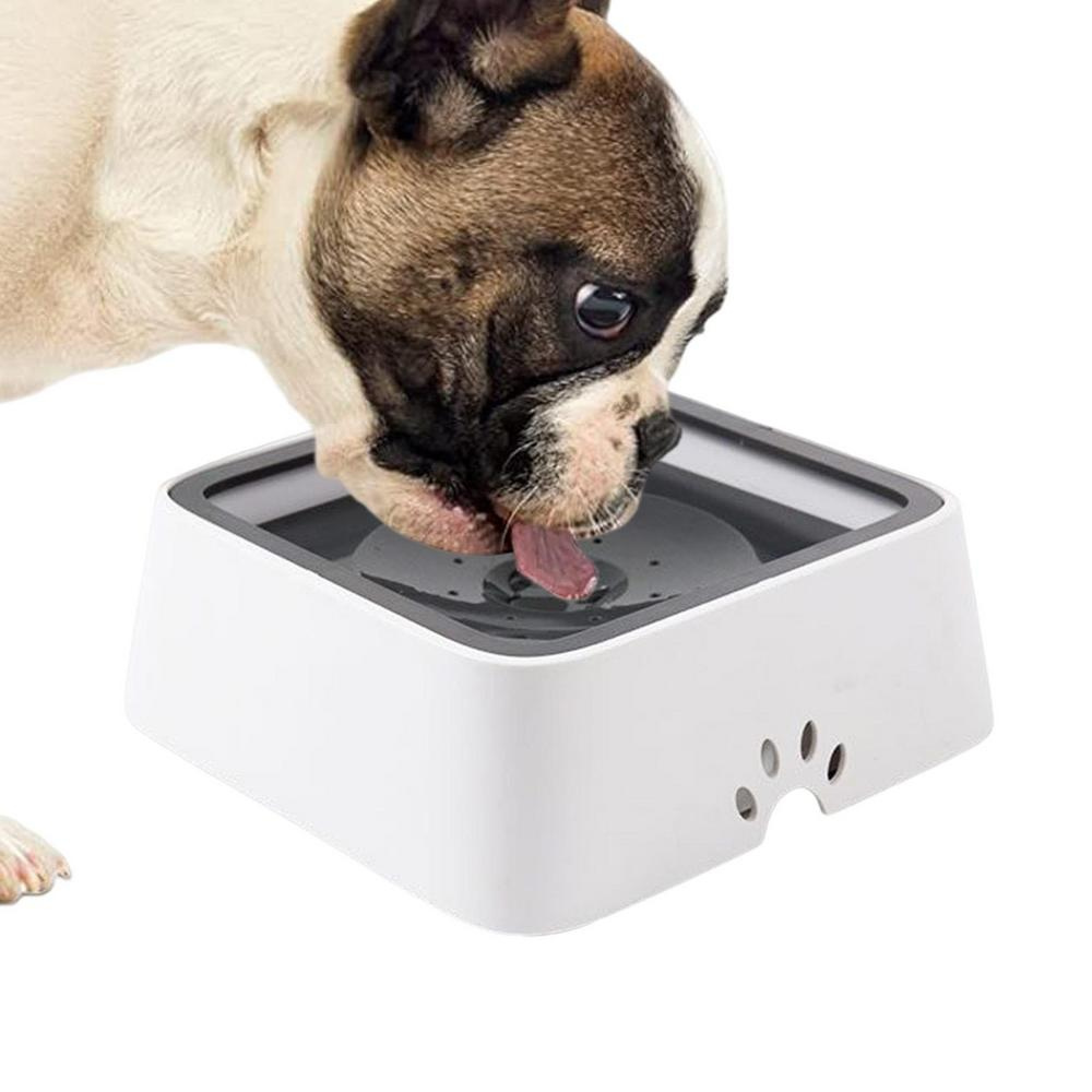 Spill-Free Large Dog Water Dispenser