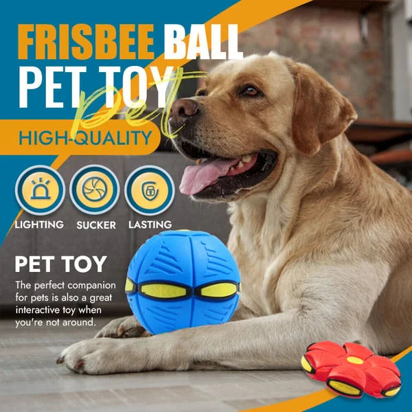 Bounce & Glow Frisbee Dog Plaything