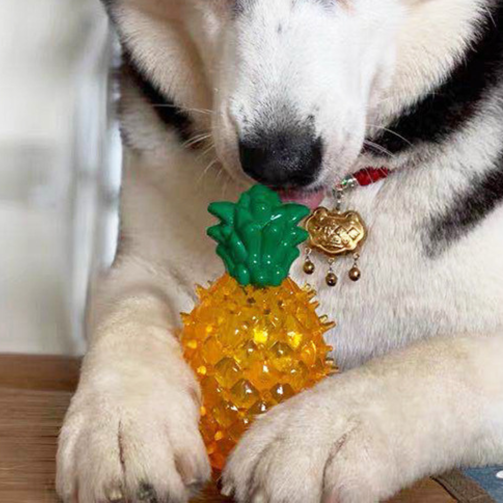 Chill & Play Summer Pet Teething Toy for Dogs