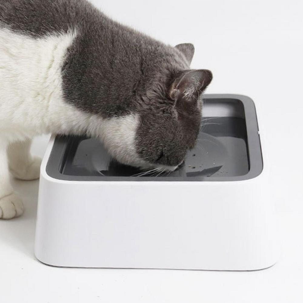 Spill-Free Large Dog Water Dispenser