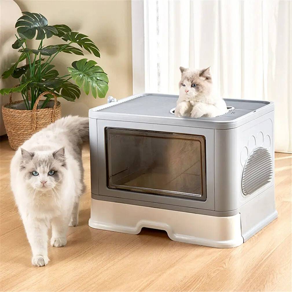 Smart Cat Litter Solution for a Clean Home