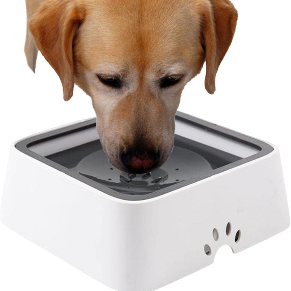 Spill-Free Large Dog Water Dispenser