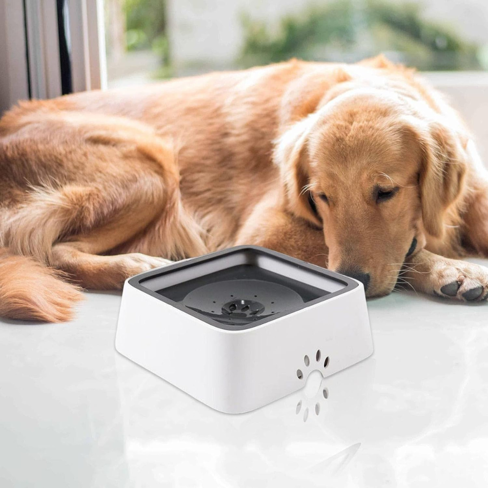 Spill-Free Large Dog Water Dispenser