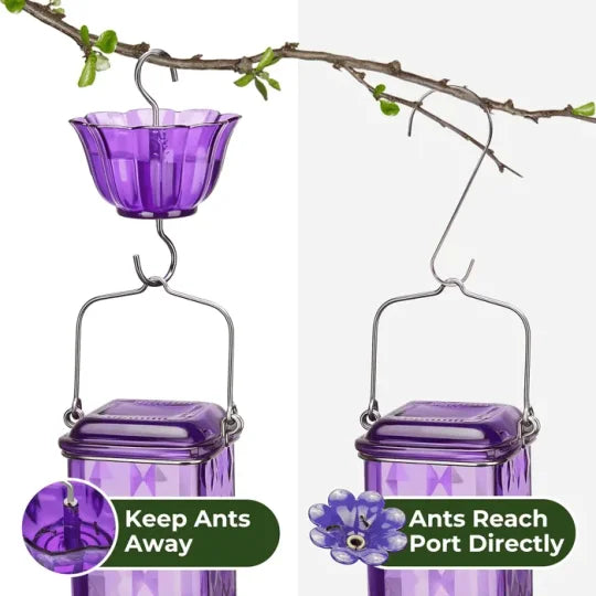 Elegant 24oz Glass Nectar Feeder for Hummingbirds