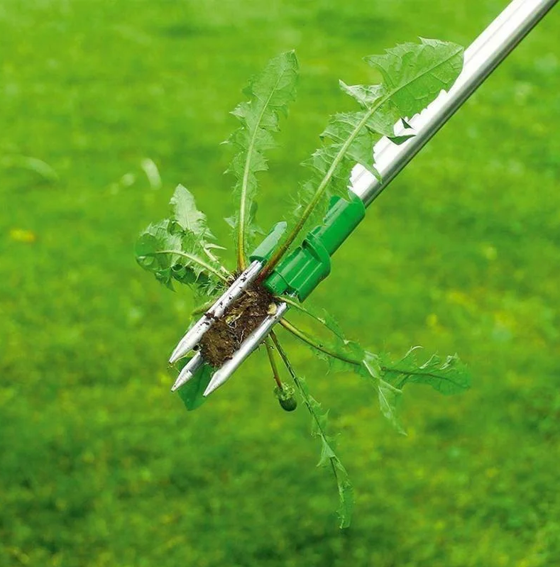 ErgoWeed Eliminator with Extended Reach