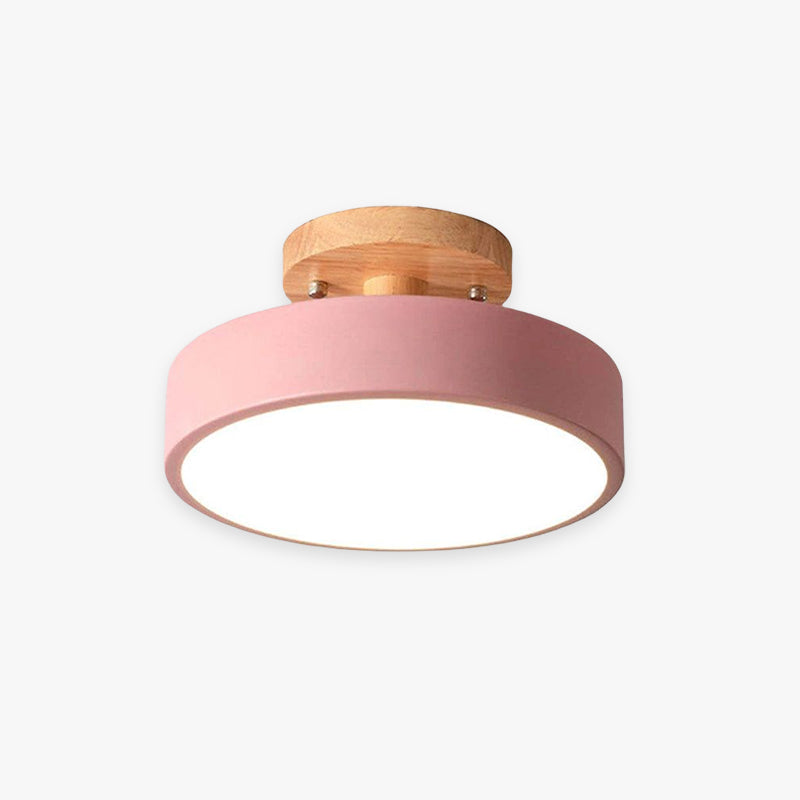 Contemporary Ceiling Light Fixture with LED Technology