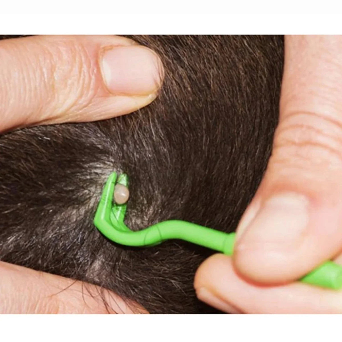 PetTickAway: Efficient Tick Extraction Tool for Pets & People