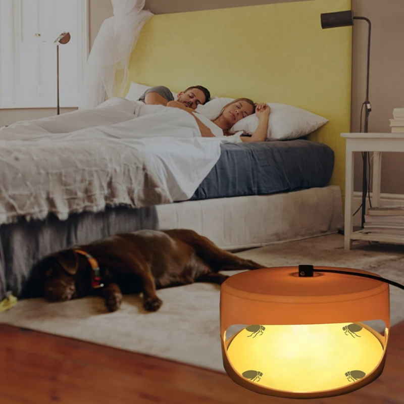 Smart Bed Bug Detection System