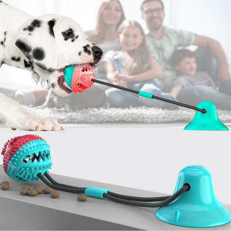 Interactive Pet Playtime Suction Toy