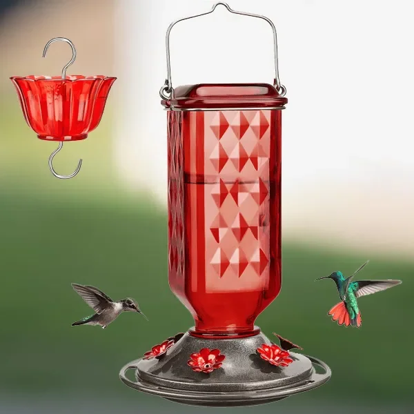 Elegant 24oz Glass Nectar Feeder for Hummingbirds