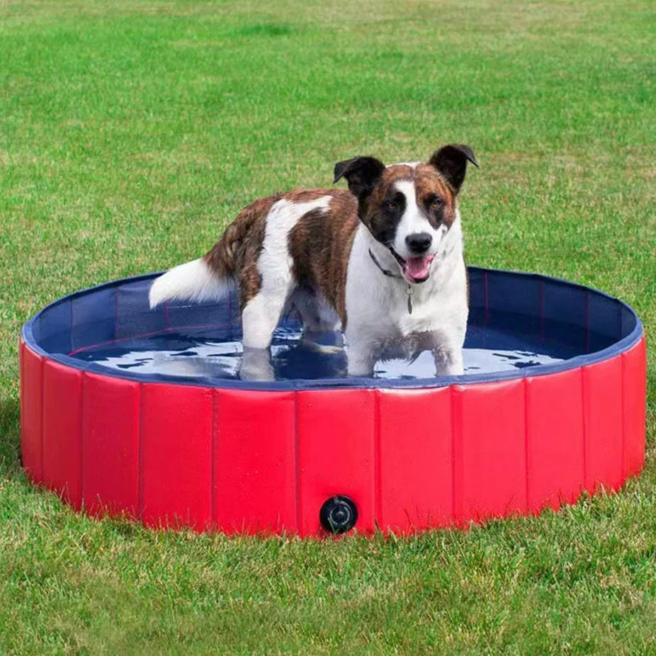 Portable Pet Splash Pool for Summer Fun