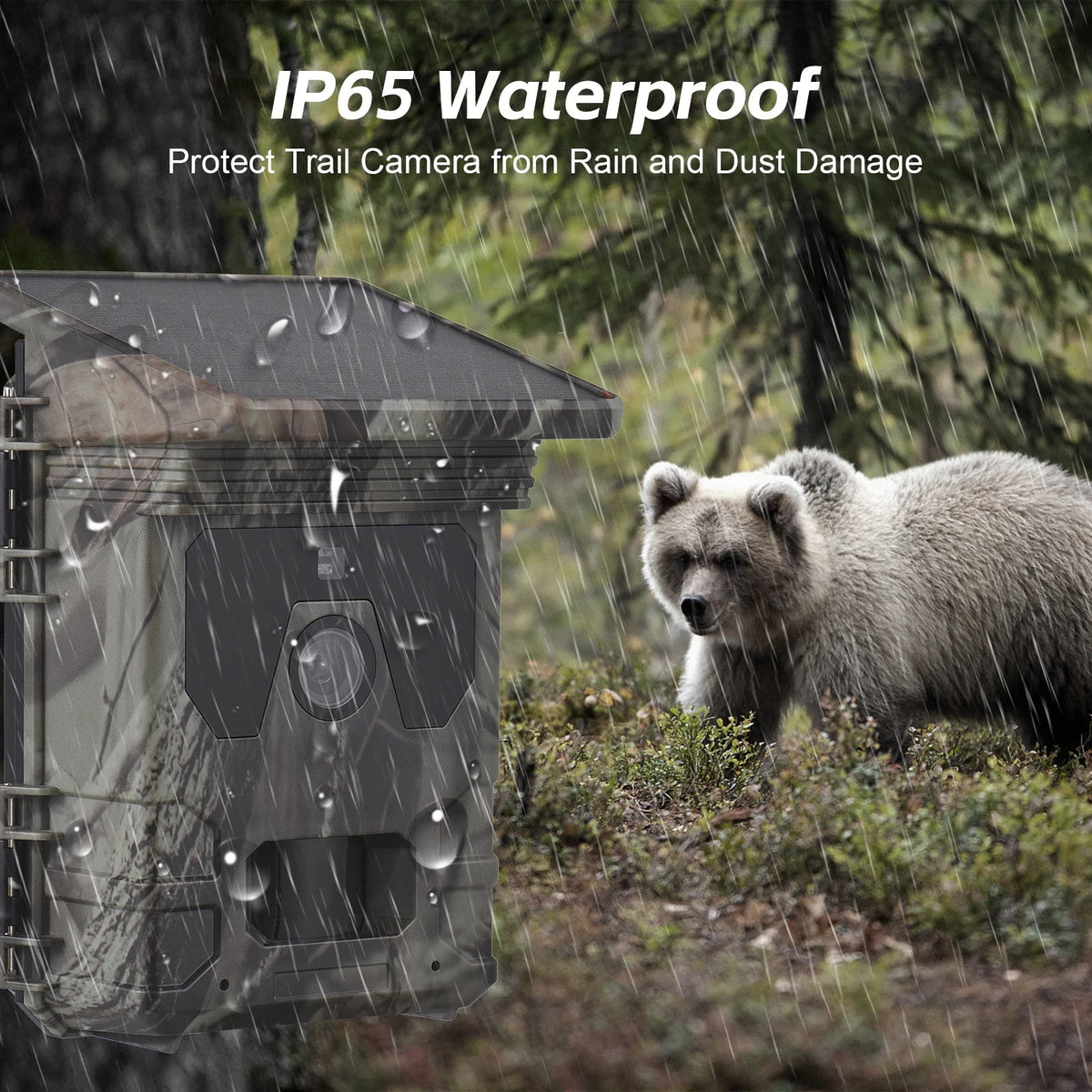 Eco-Friendly Solar Night Vision Wildlife Camera