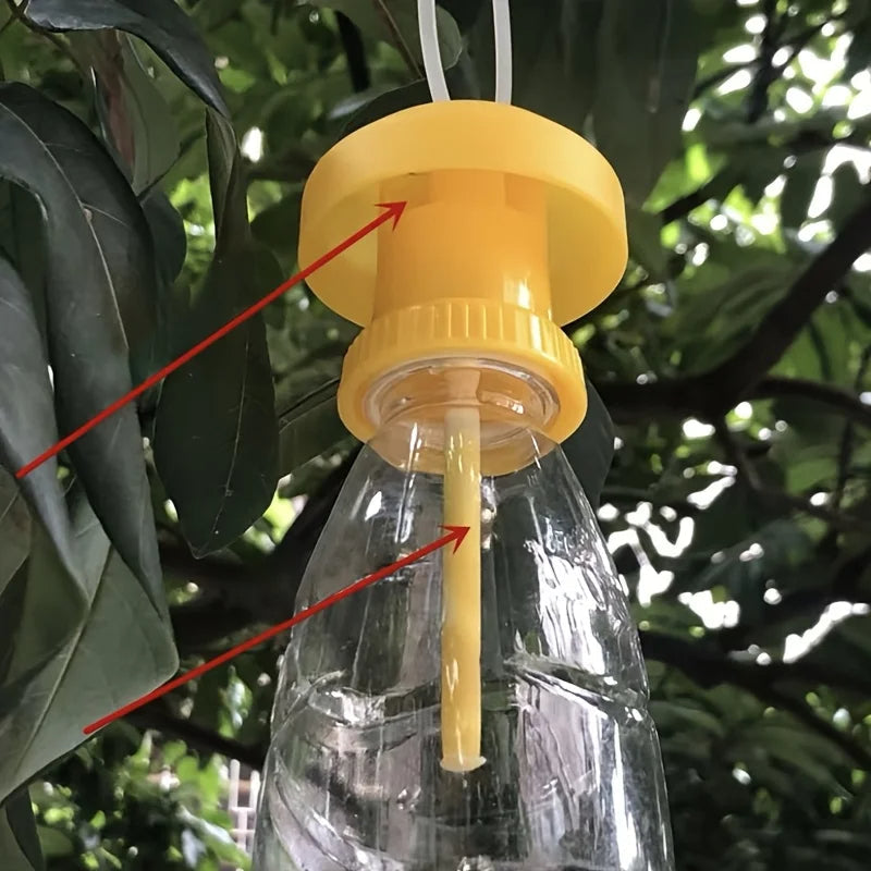 Eco-Friendly Fruit Fly Catcher with Versatile Hanging Design