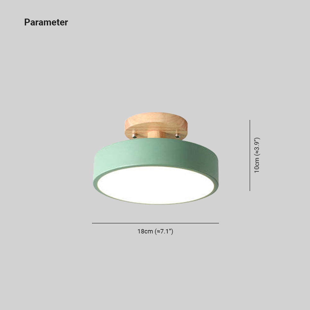 Contemporary Ceiling Light Fixture with LED Technology