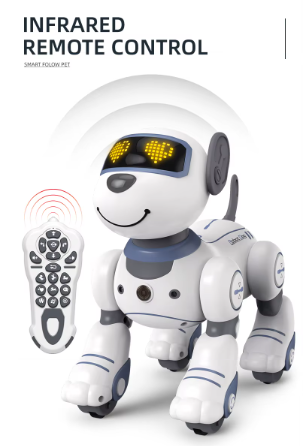 Interactive Companion Robot for Kids
