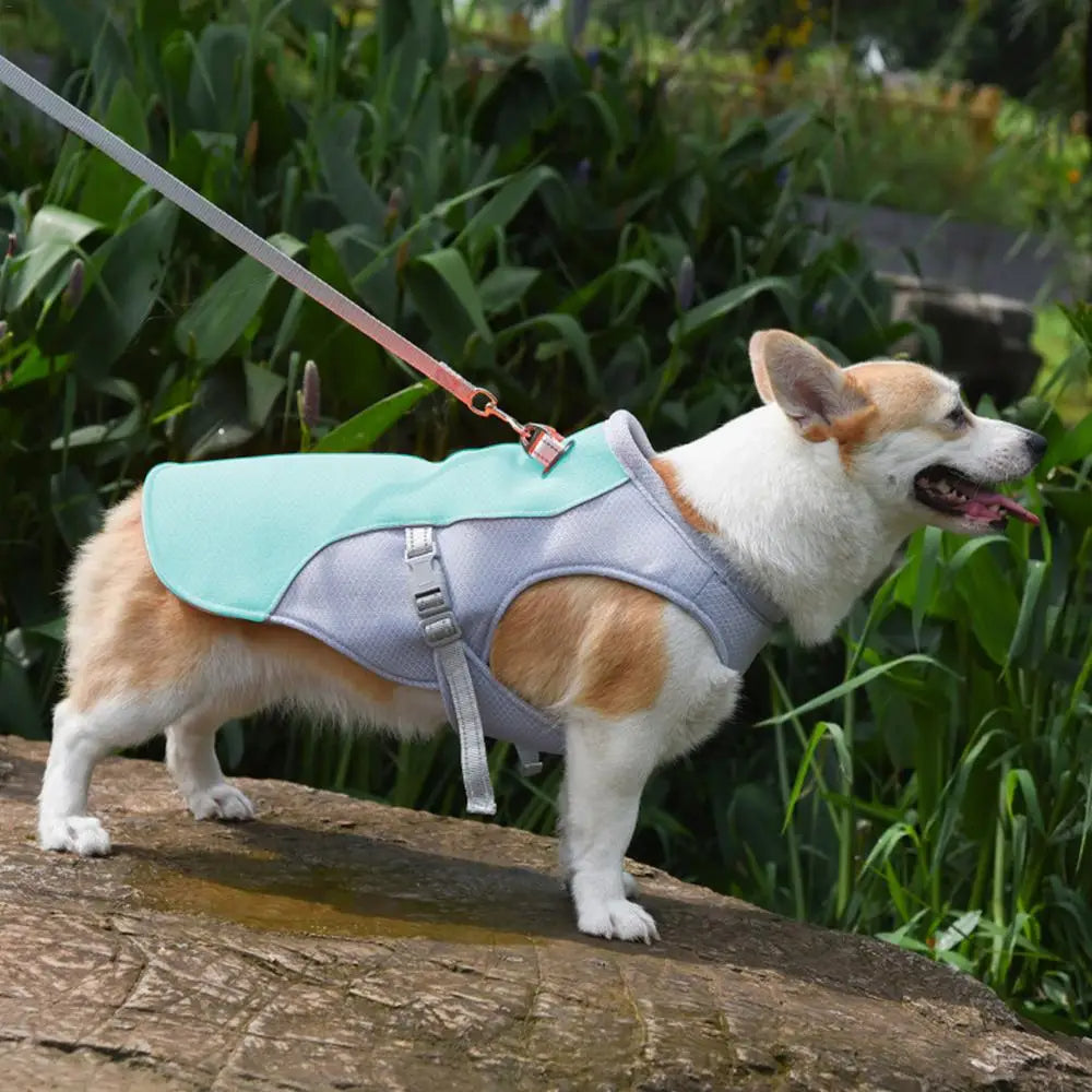 Cooling Jacket for Dogs - Perfect for Summer Adventures