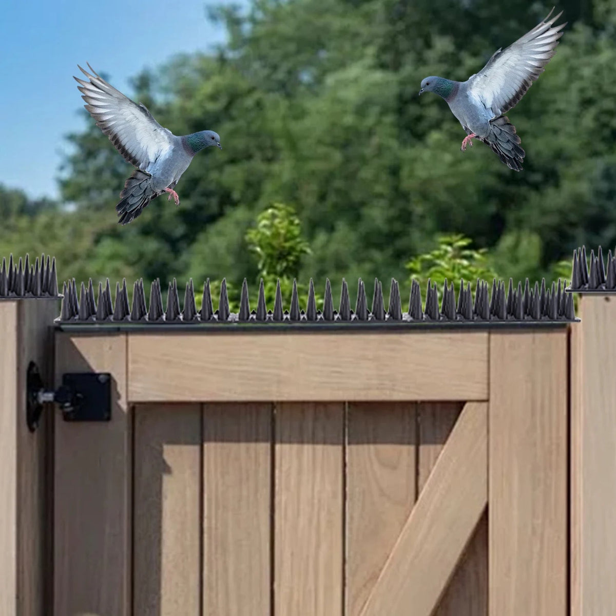 Eco-Friendly Bird Deterrent Spikes for Your Home