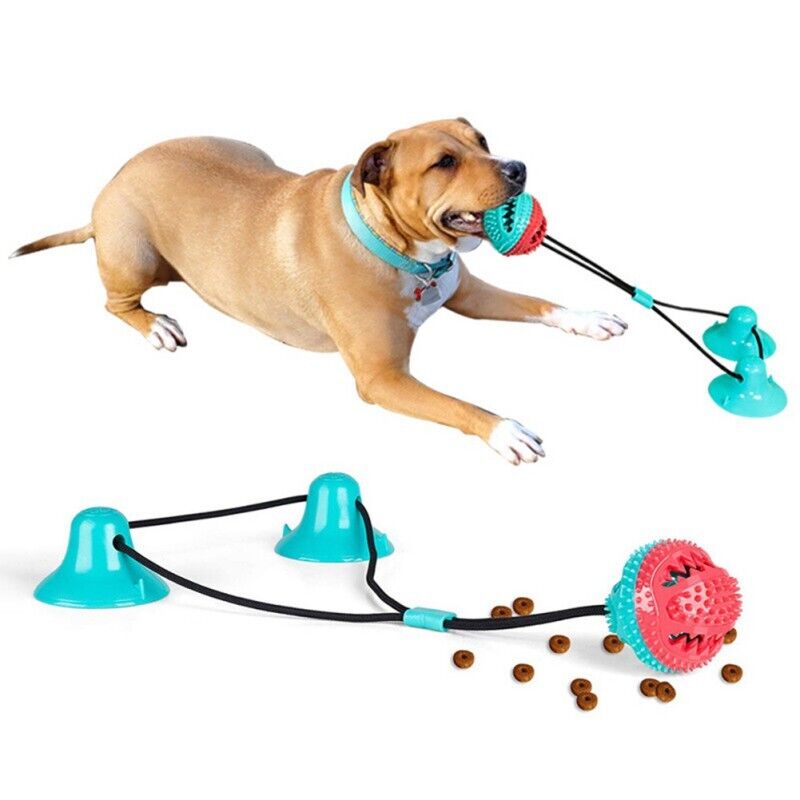 Interactive Pet Playtime Suction Toy