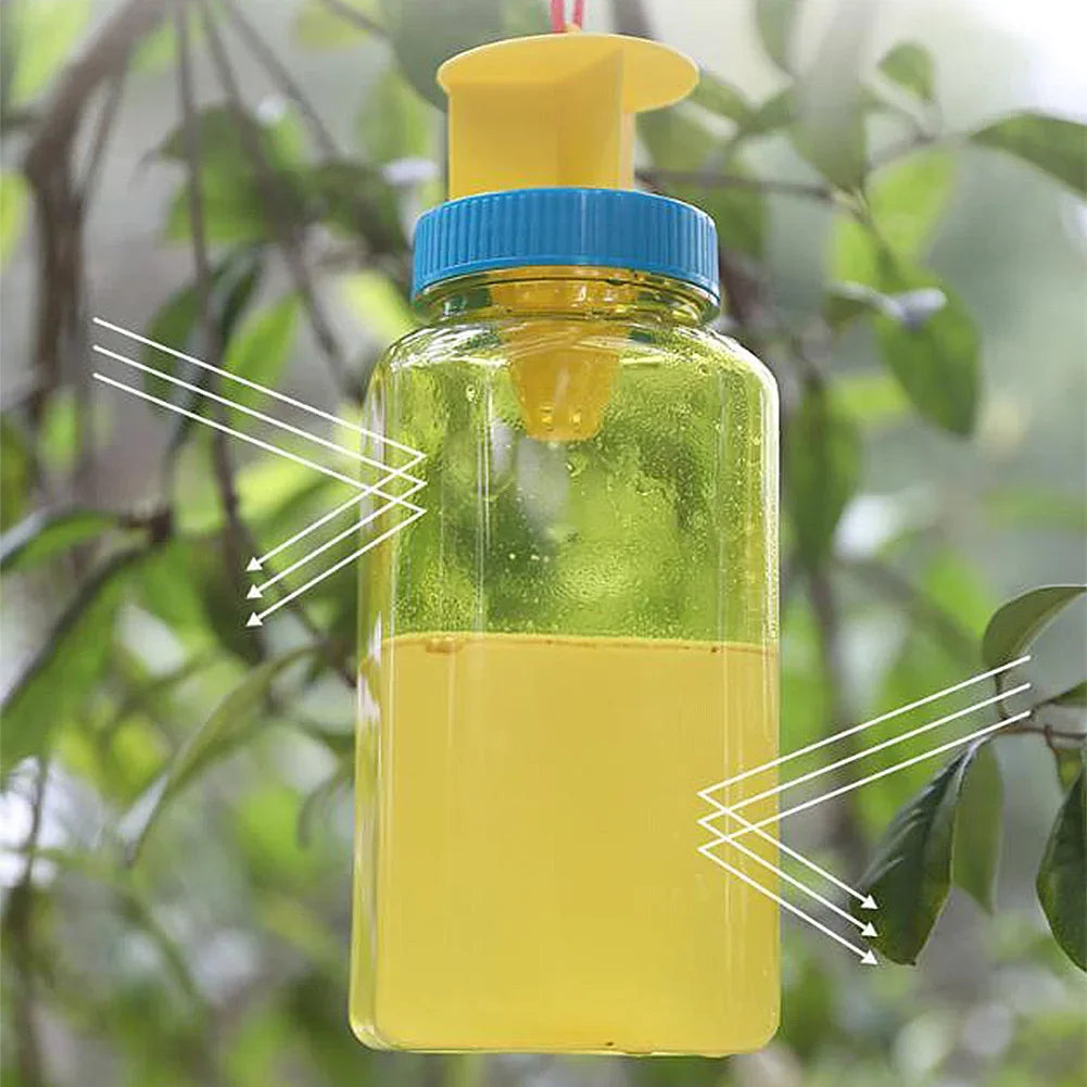 Eco-Friendly Fruit Fly Trap Solution