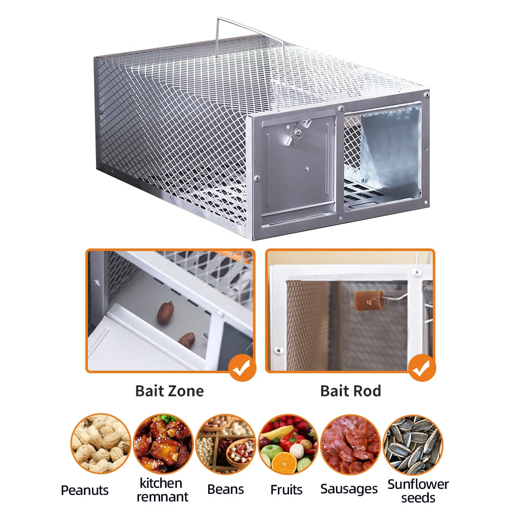 Eco-Friendly Metal Mouse Trap for Safe Rodent Control