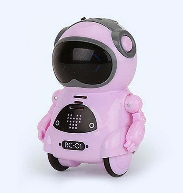 Mini Interactive Robot Companion