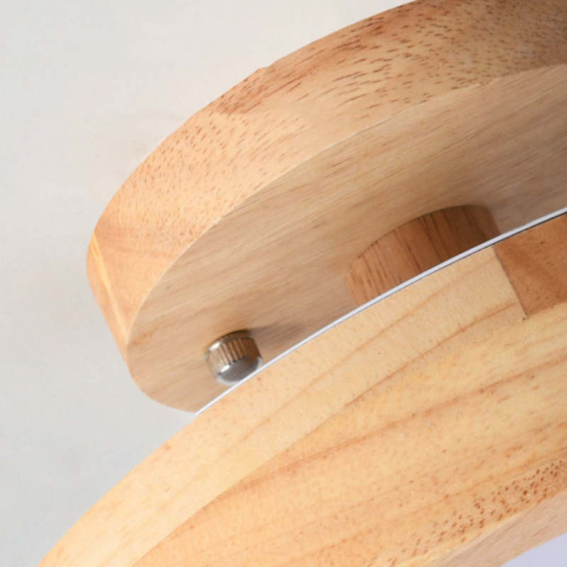 Contemporary Ceiling Light Fixture with LED Technology