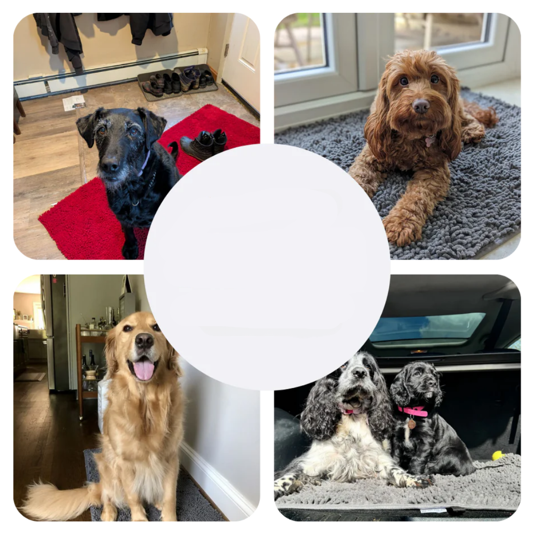 Absorbent Dog Floor Mat for Easy Cleanup – Paw Protection