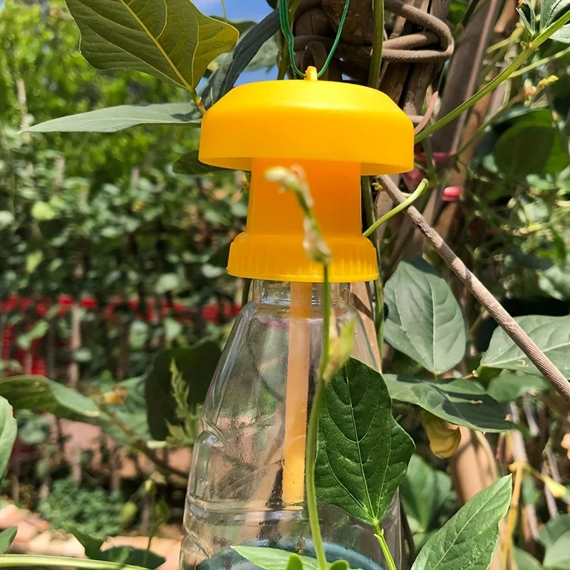 Eco-Friendly Fruit Fly Catcher with Versatile Hanging Design