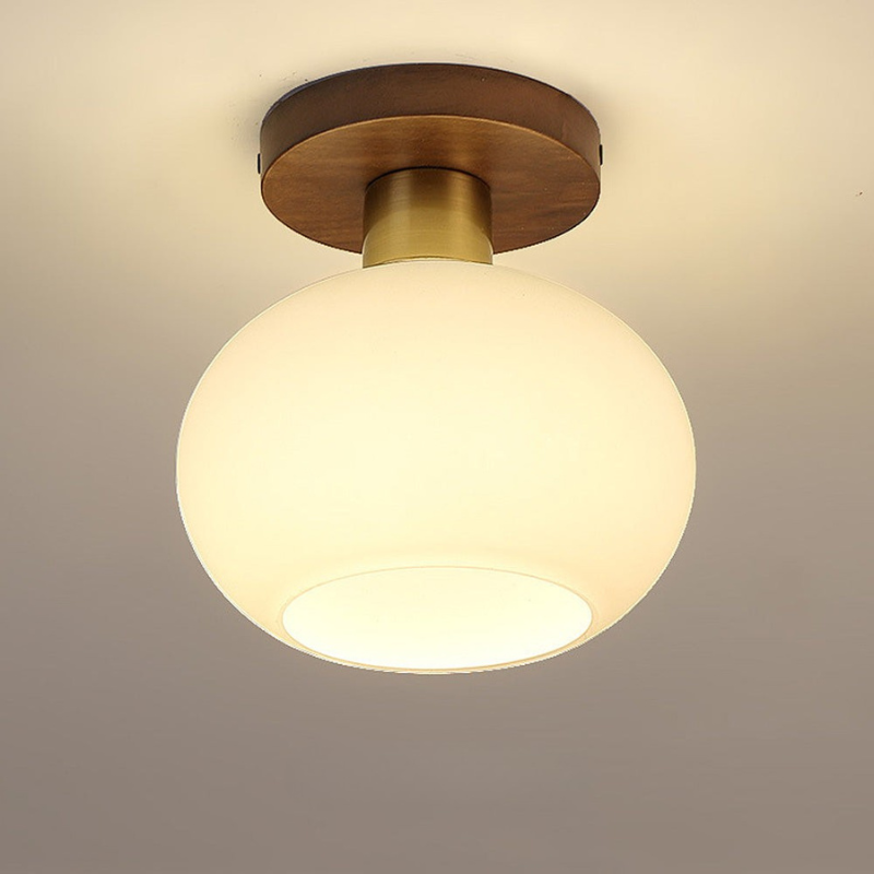 Sleek Ceiling Light Fixture for Modern Entrances and Hallways