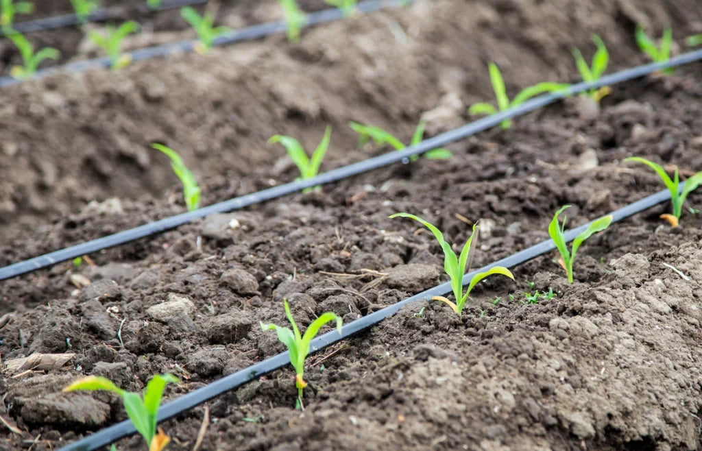 AquaCool Irrigation System for Refreshing Garden Care