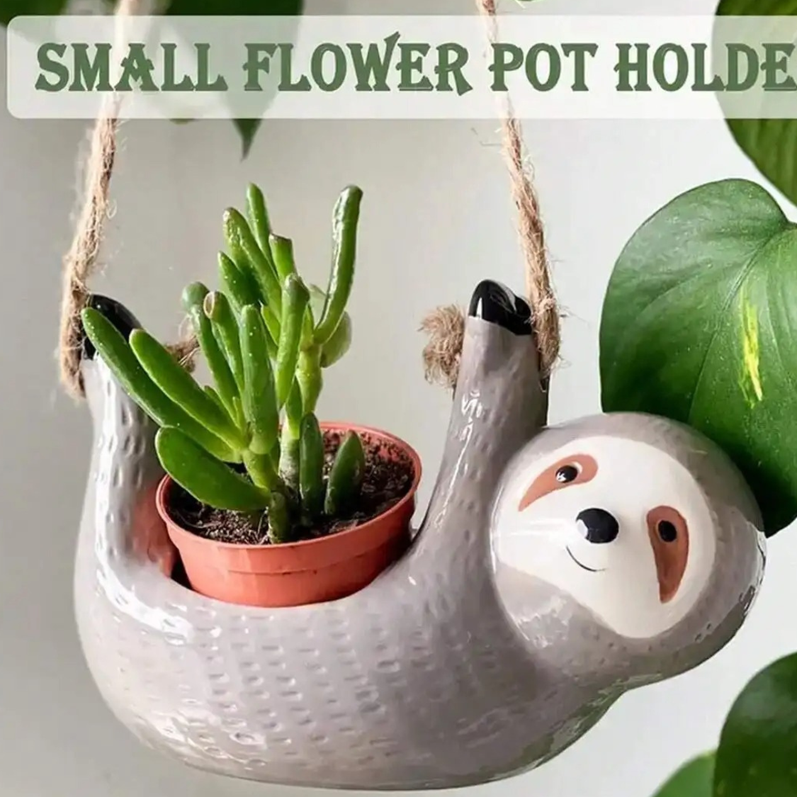 Charming Hanging Ceramic Planter for Succulents
