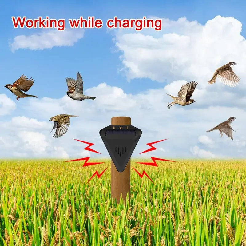 Eco-Friendly Solar Bird Deterrent for Outdoor Spaces