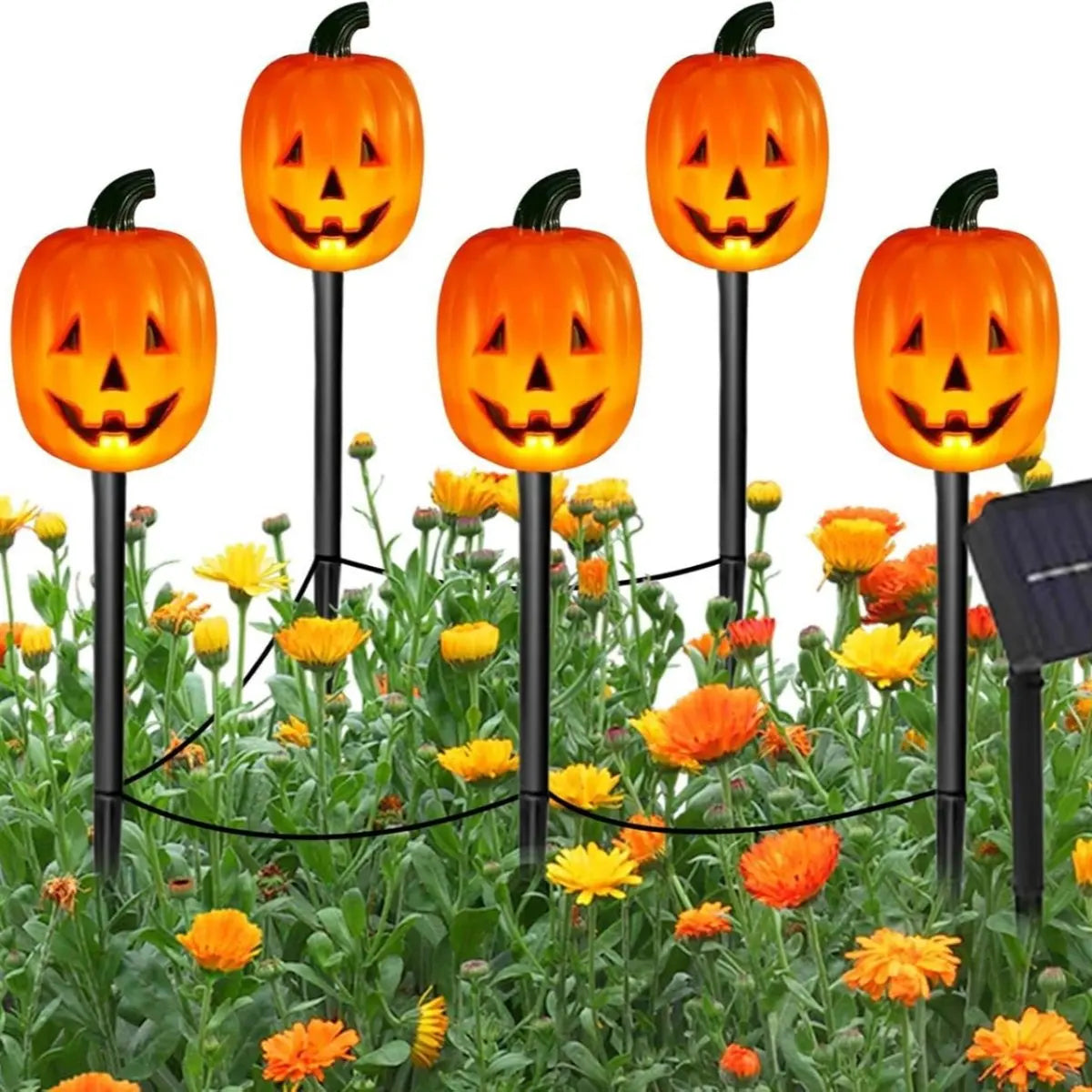Solar-Powered Halloween Pumpkin & Ghost Light Set