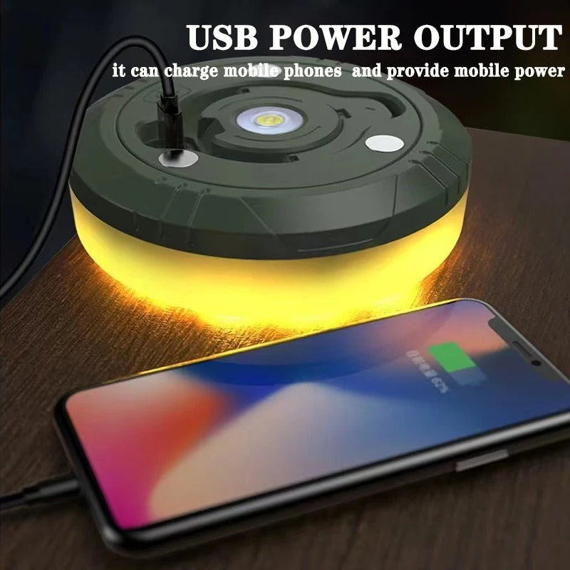 Versatile Outdoor Lighting Solution