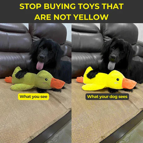 Soothing Quacker Plush Toy for Dogs