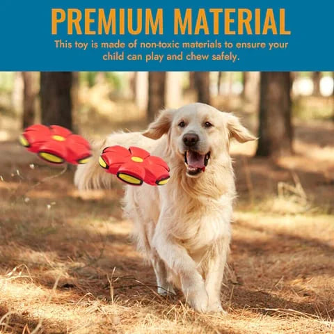 Bounce & Glow Frisbee Dog Plaything