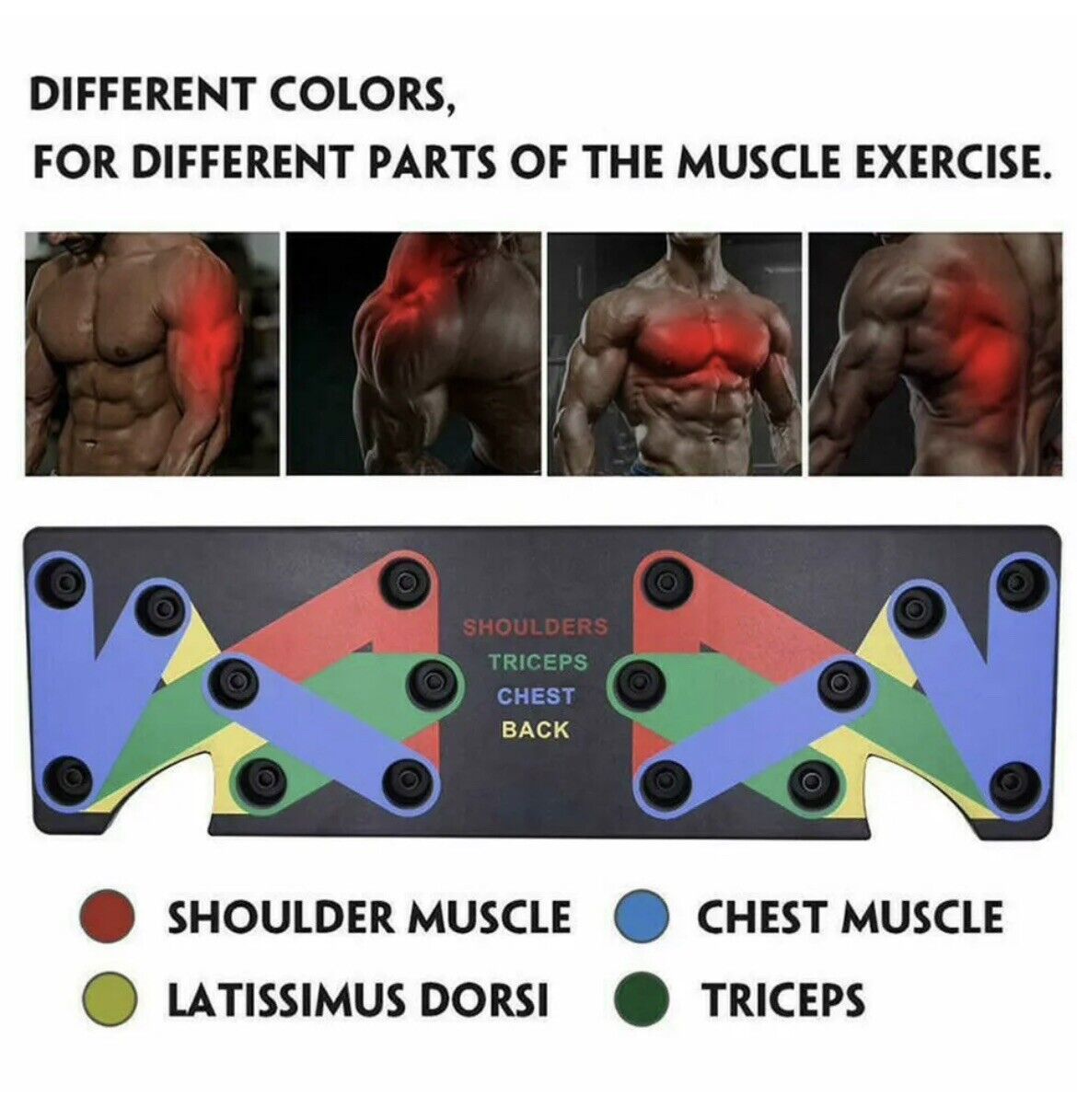 Ultimate Body Sculpting Trainer