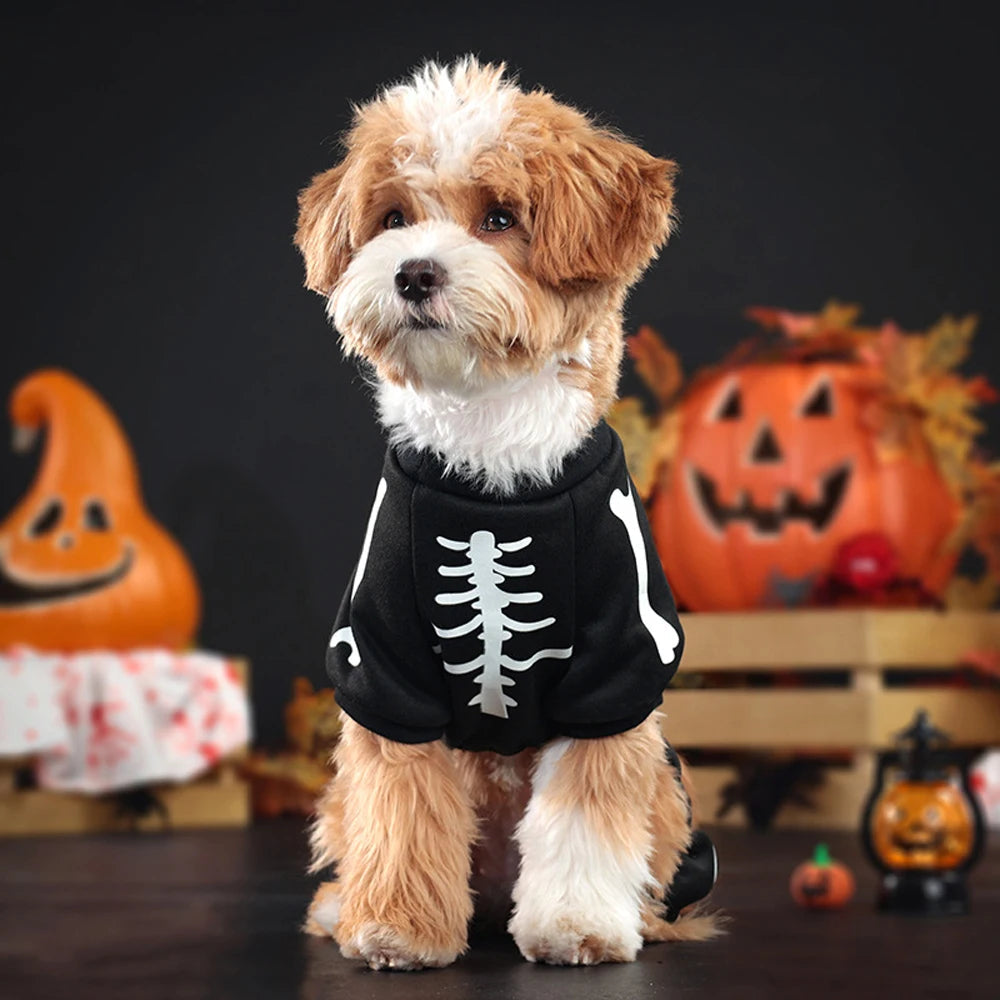 Glow-in-the-Dark Skeleton Costume for Dogs and Cats