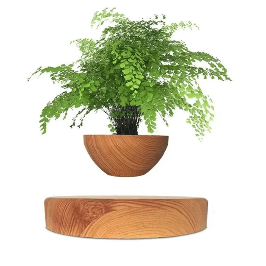 Magnetic Levitation Floating Plant Display Holder