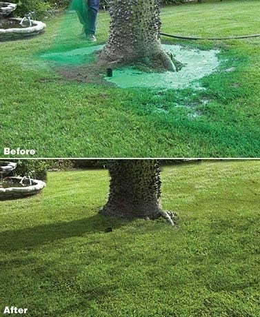 Effortless Green: Advanced Lawn Seed Spray System