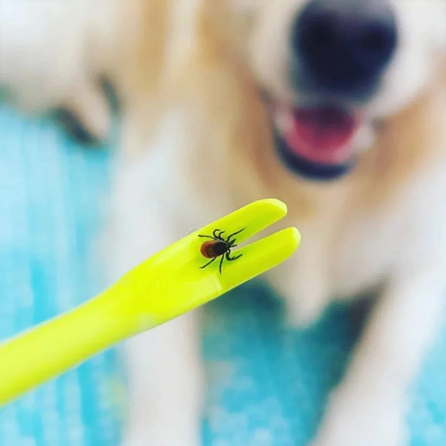 PetTickAway: Efficient Tick Extraction Tool for Pets & People