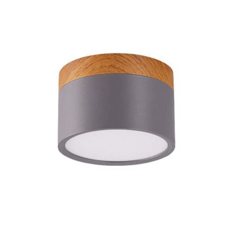 Modern LED Ceiling Light in Morandi Style