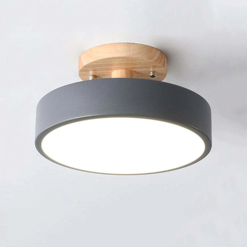 Contemporary Ceiling Light Fixture with LED Technology